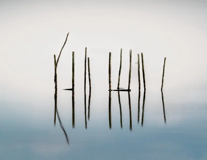 Theft attorney near me